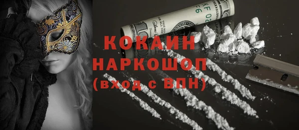амф Ельня