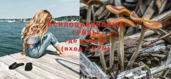 ALPHA PVP Заводоуковск