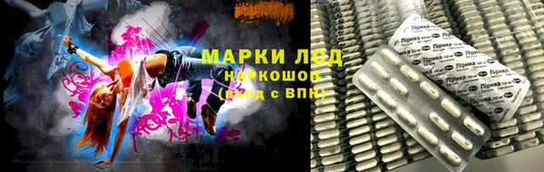 амф Ельня