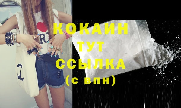 тгк Ладушкин