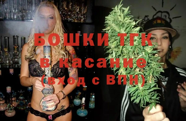 амф Ельня