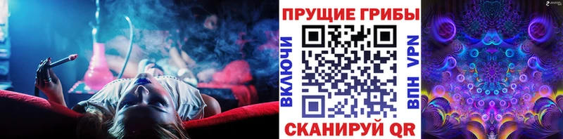 Купить закладки  Камбарка  Псилоцибиновые грибы прущие грибы 